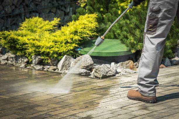 Best Boat and Dock Cleaning  in Port Norris, NJ
