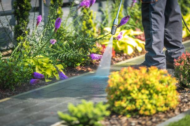 Best Gutter Cleaning  in Port Norris, NJ
