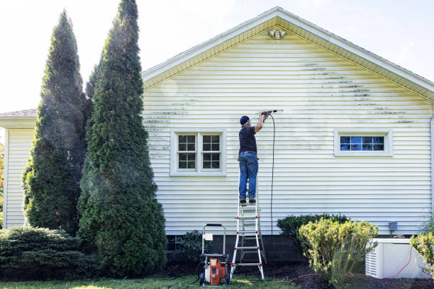 Best Fence Cleaning  in Port Norris, NJ