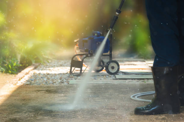 Best Soft Washing  in Port Norris, NJ